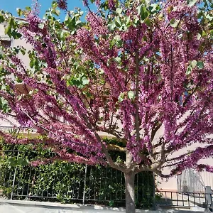 Appartamento Via Della Musica, Vicchio