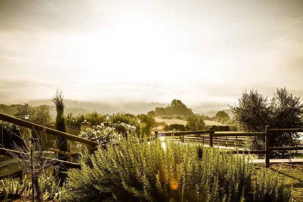 Agriturismo Vita Nova Vicchio Gospodarstwo wiejskie
